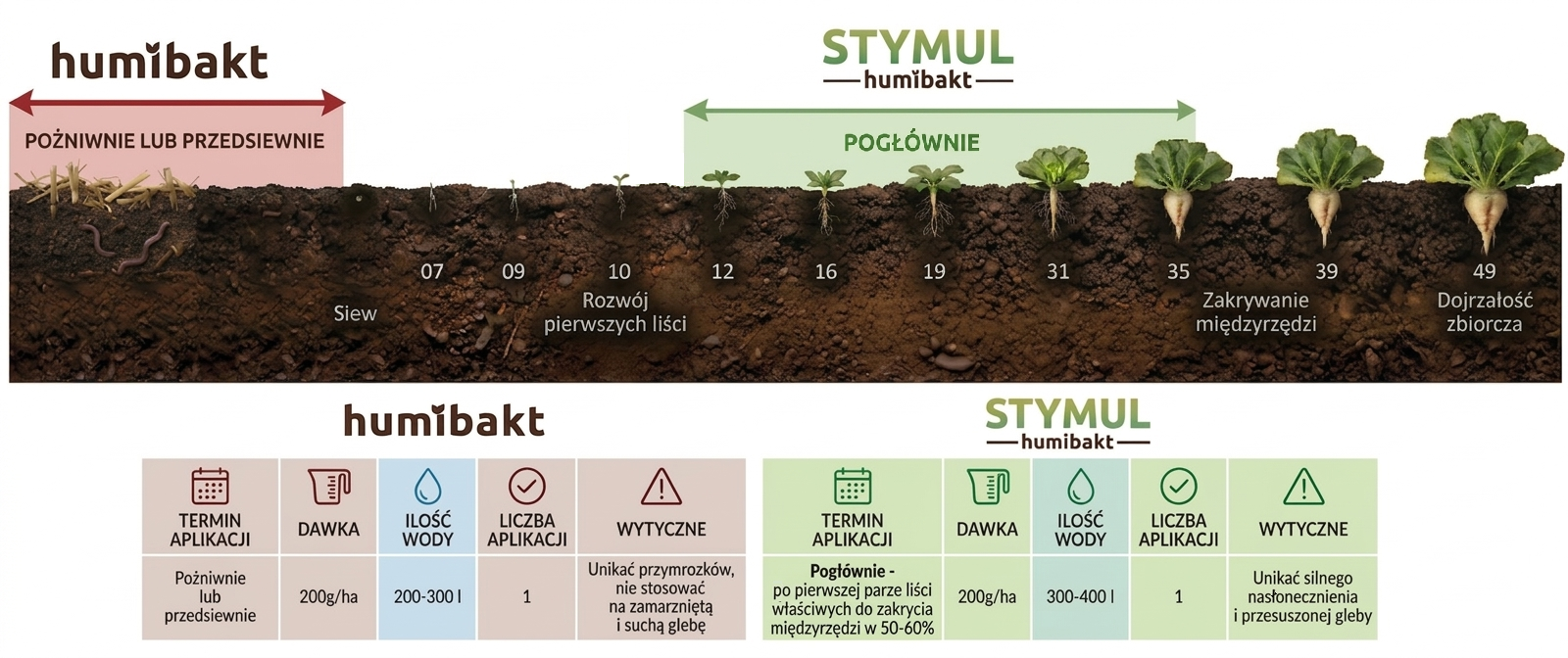 Linia produktów „HumiBakt” w uprawie buraka cukrowego